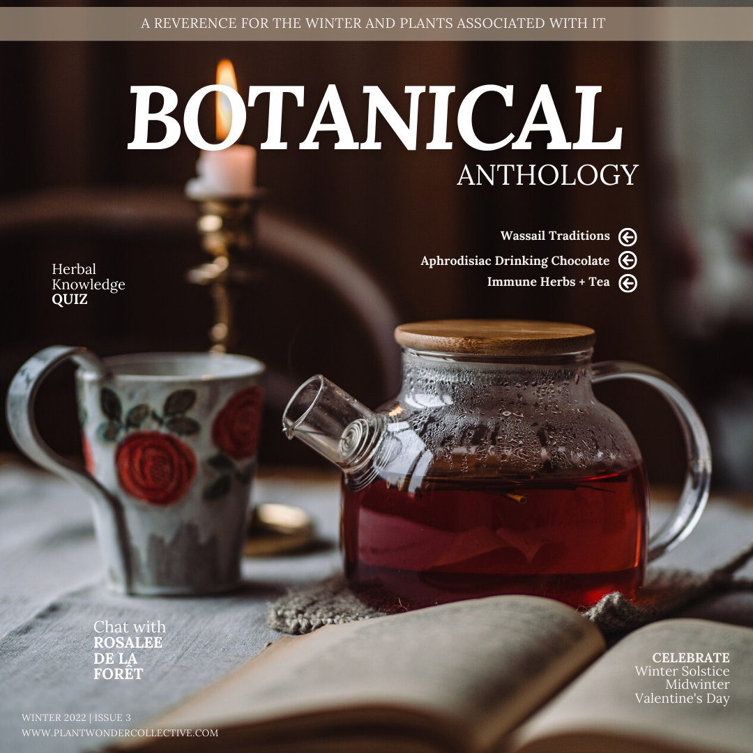 Botanical Anthology Winter Love Bundle: Vol 1 + Vol 2 + Vol 3 Editions (Digital)