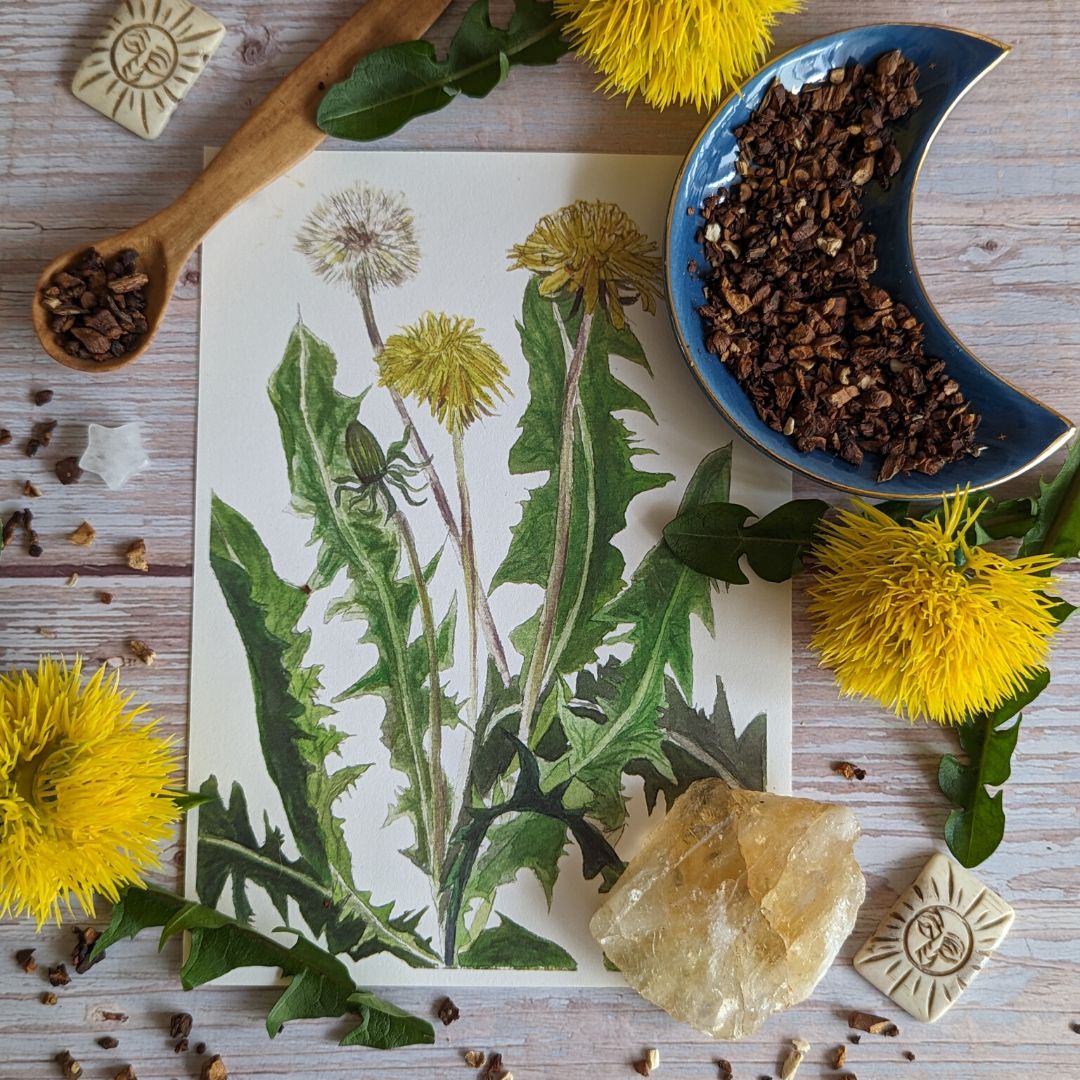 All About Dandelion Booklet