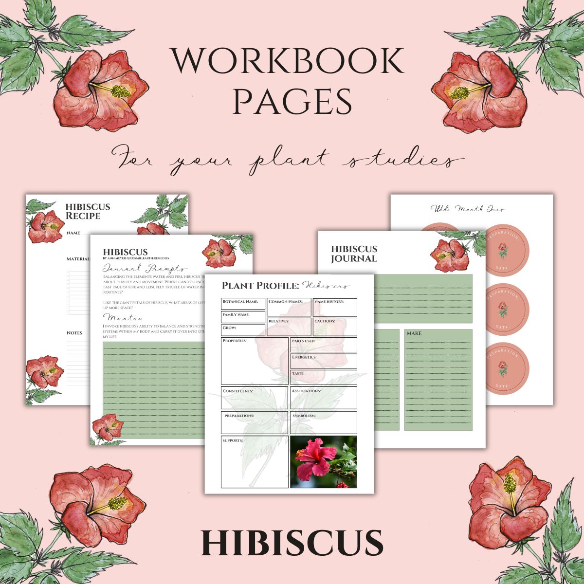 Hibiscus Workbook Printables