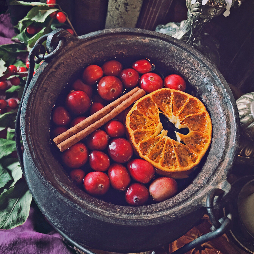 Botanical Anthology: Winter Vol 2 | Issue 7 | 2023 (Print)