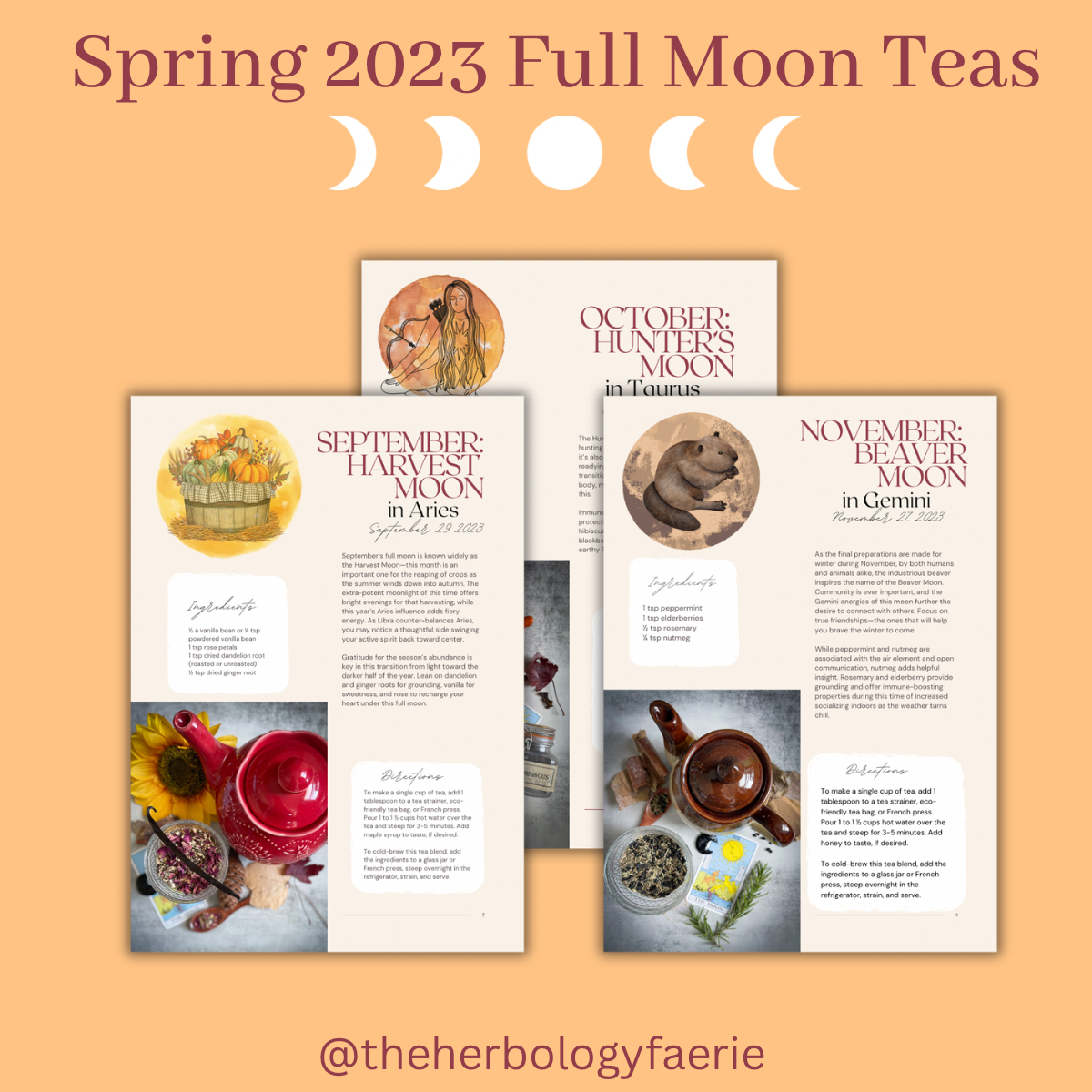 Autumn Tea Recipe Booklet by The Herbology Faerie