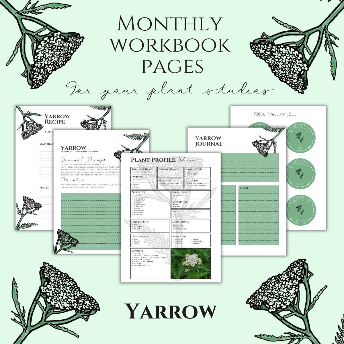 Yarrow Workbook Printables
