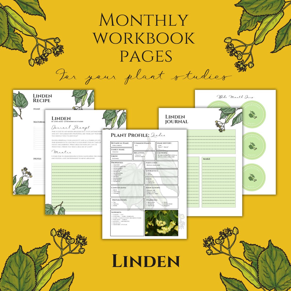 Linden Workbook Printables