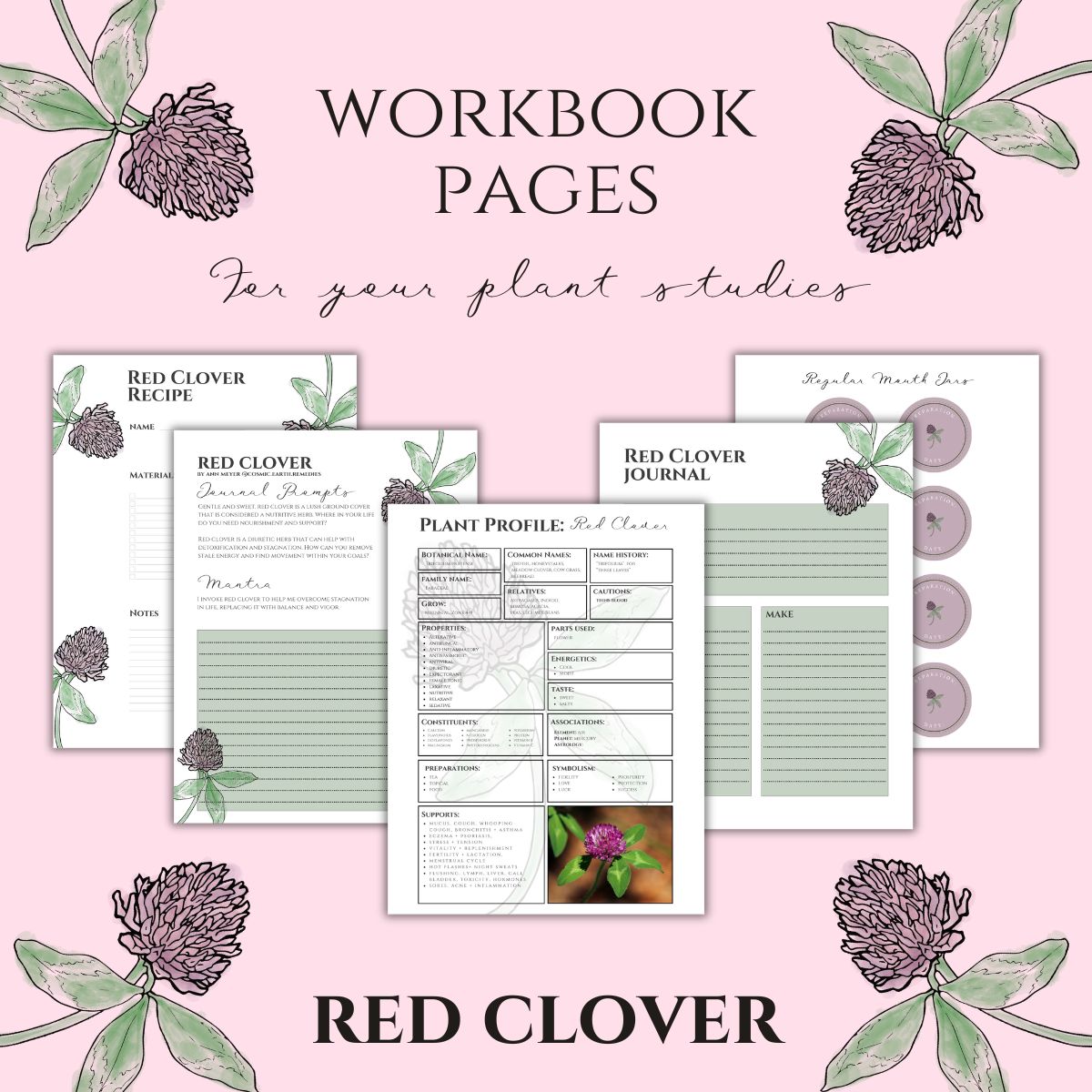 Red Clover Workbook Printables