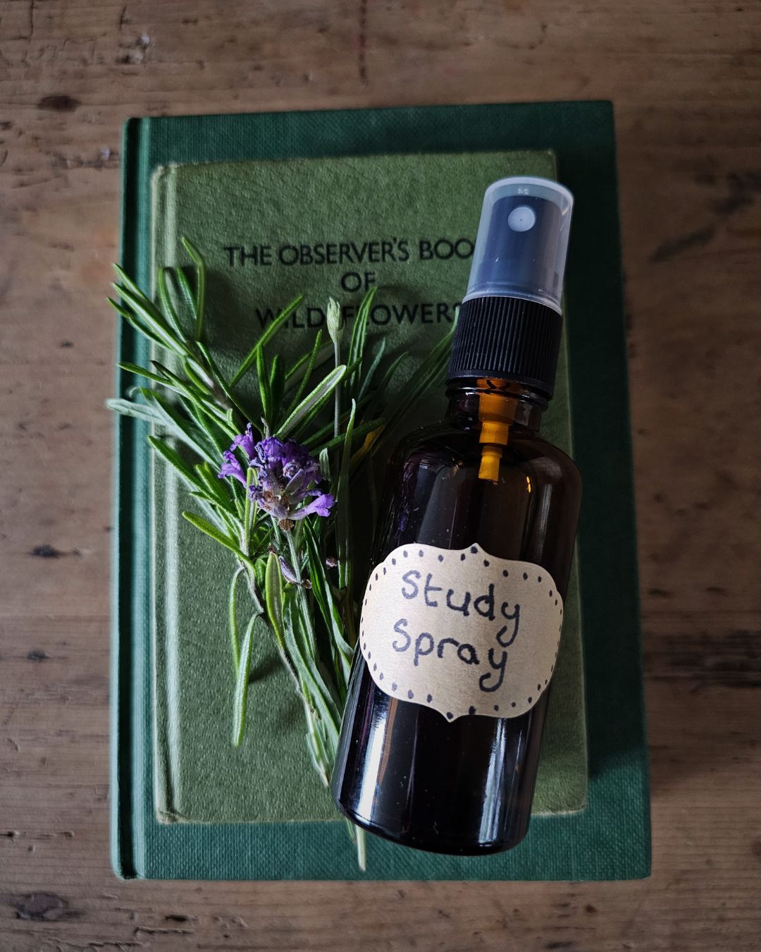 All About Rosemary Booklet