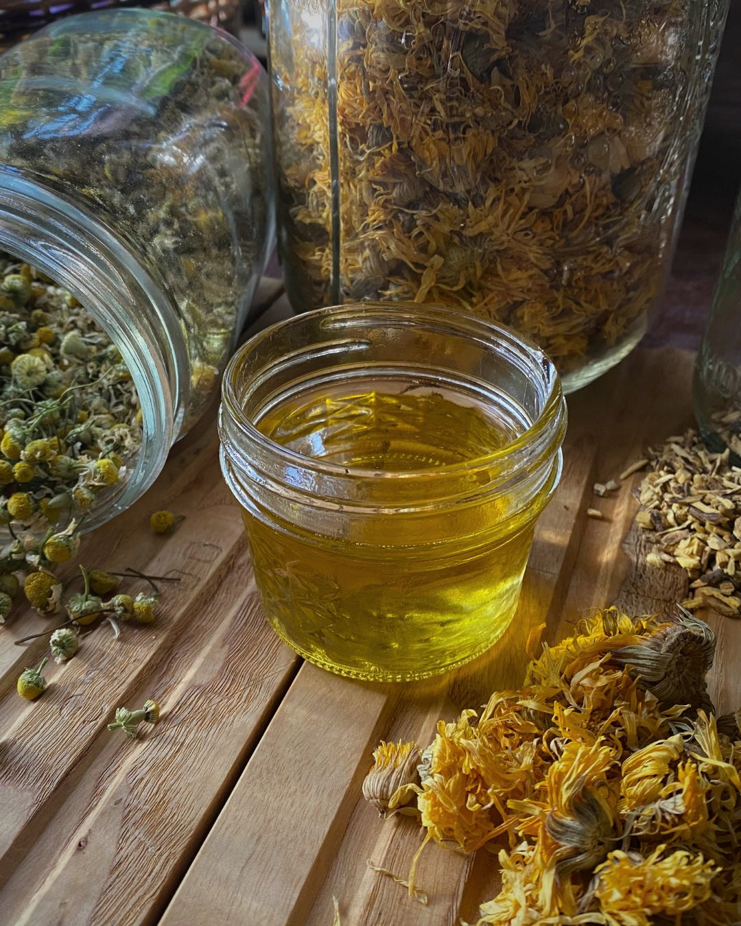 All About Chamomile Booklet
