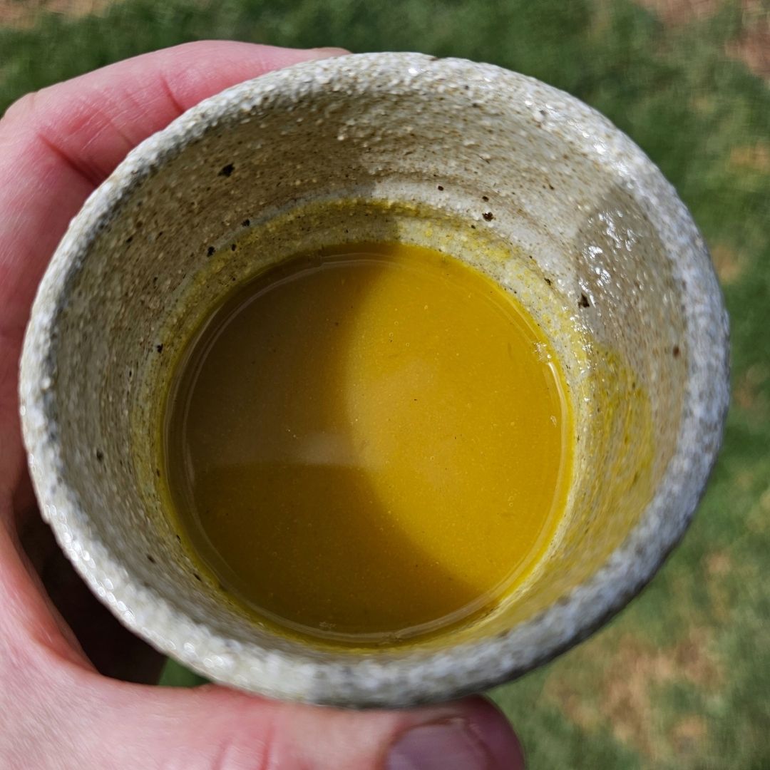 All About Turmeric Booklet (digital)