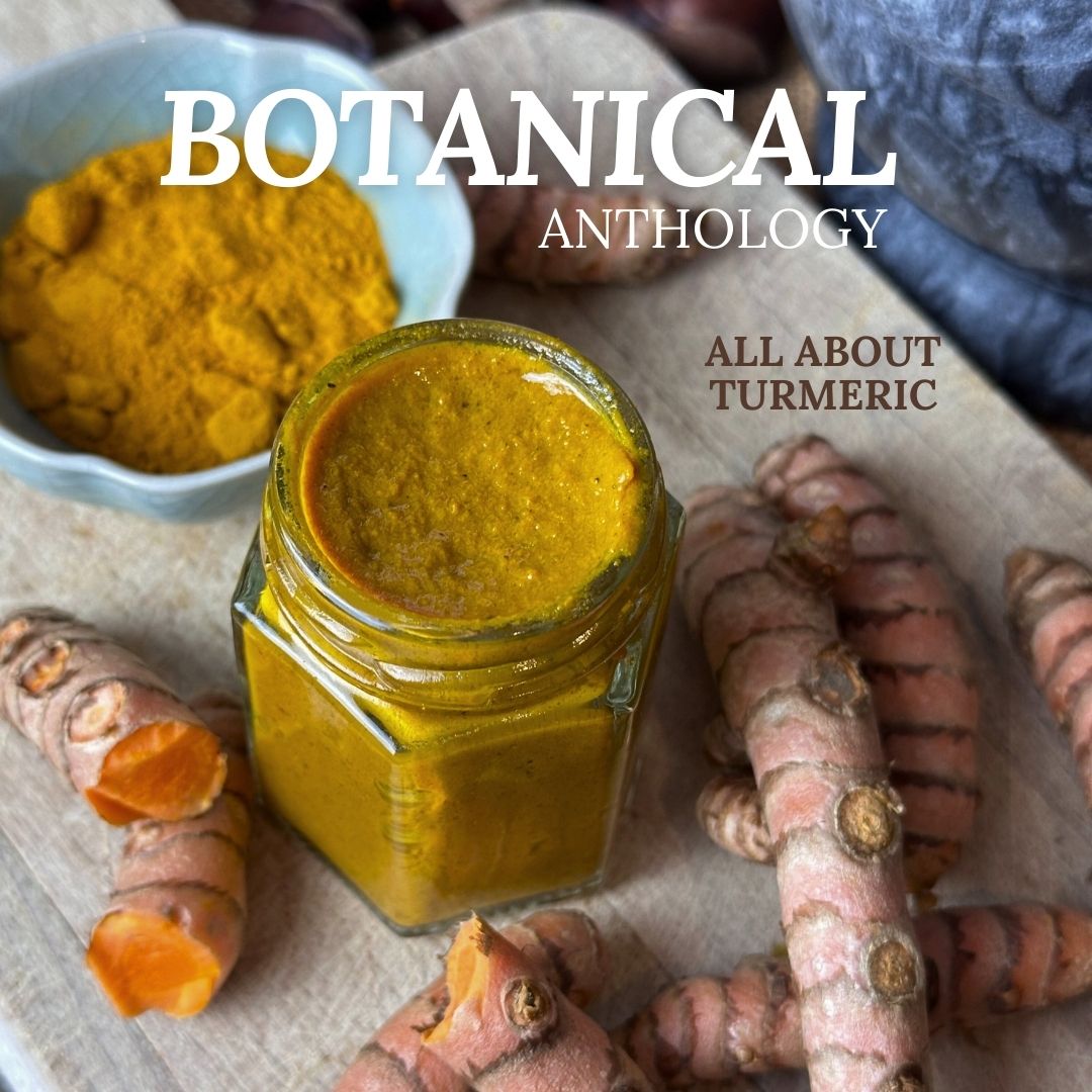 All About Turmeric Booklet (digital)