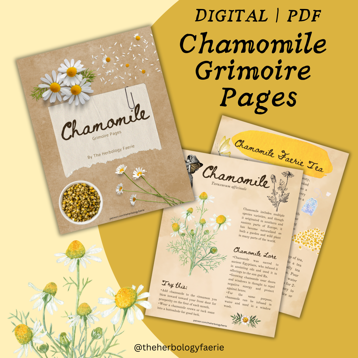 Chamomile Grimoire Pages by The Herbology Faerie