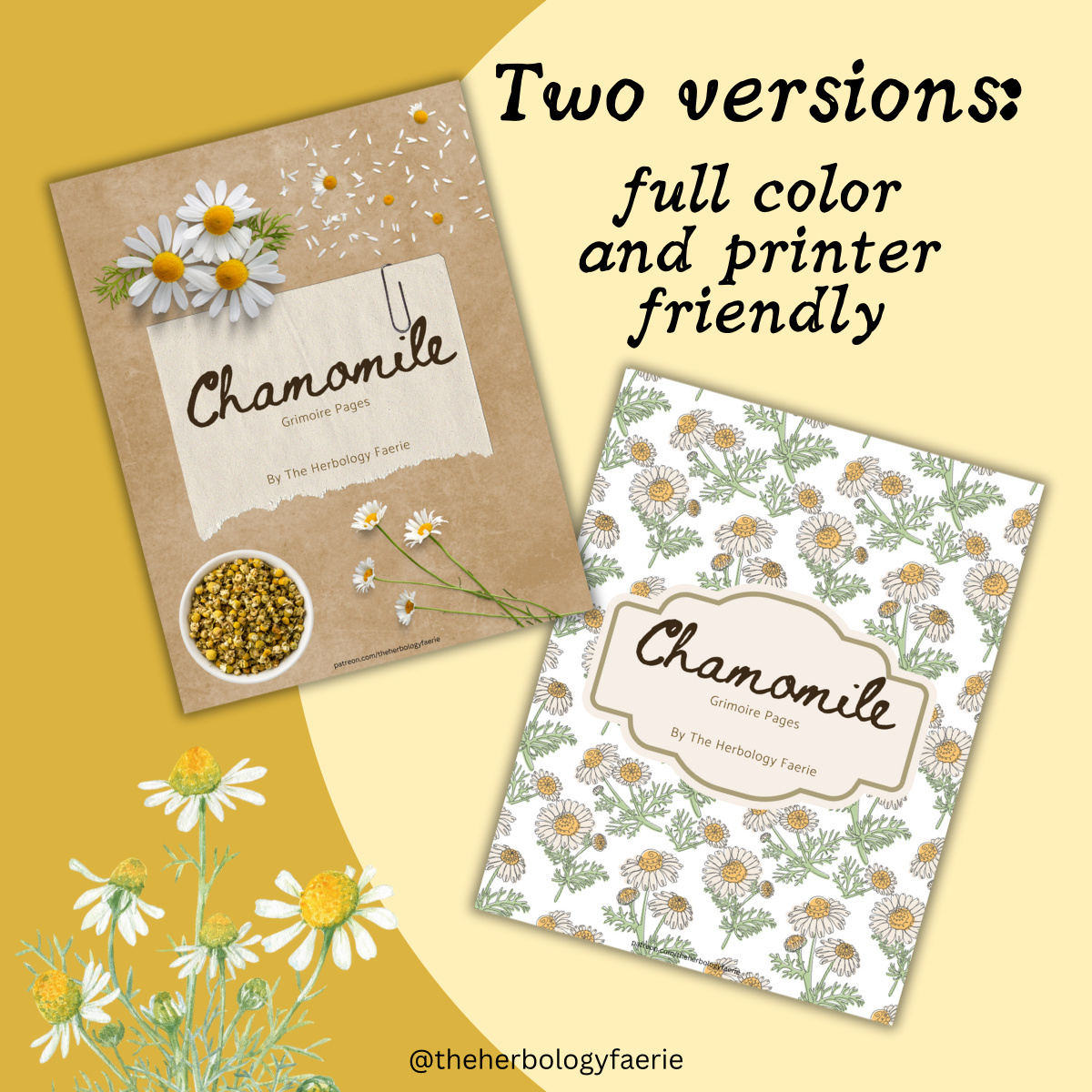 Chamomile Grimoire Pages by The Herbology Faerie