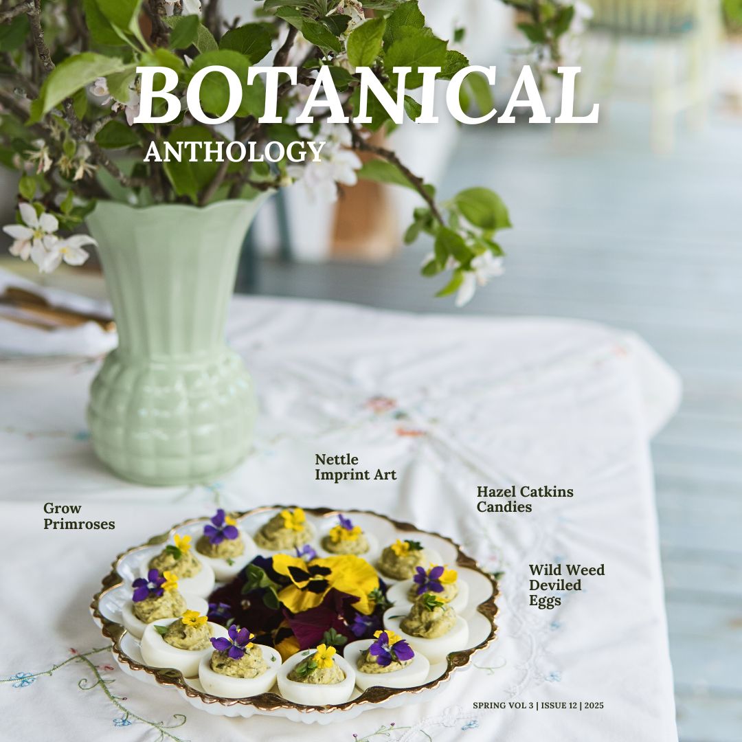 Botanical Anthology: Spring Vol 3 | Issue 12 | 2025 (Digital)
