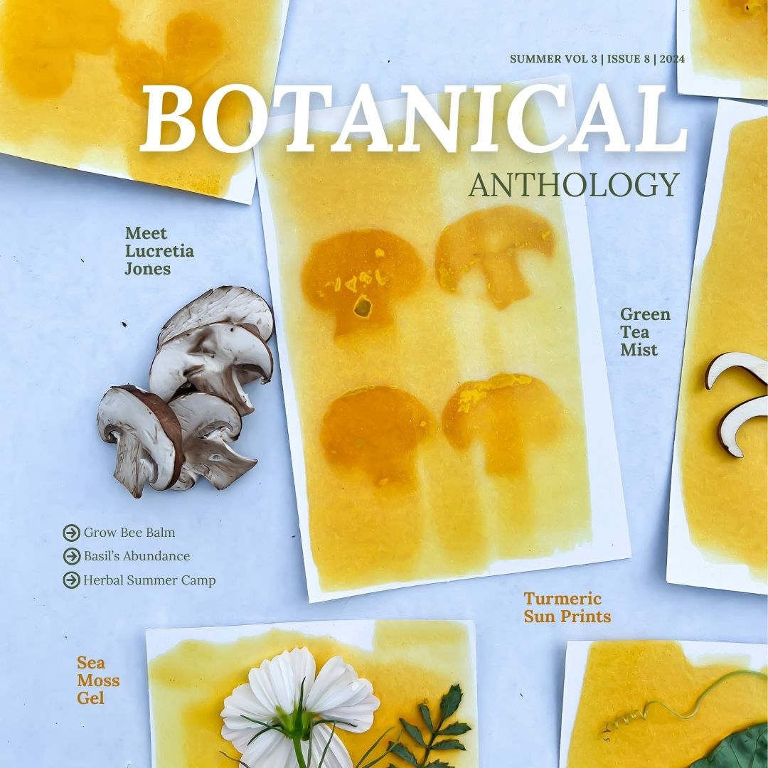 Botanical Anthology: 4 Seasons of Vol 3 (Print)