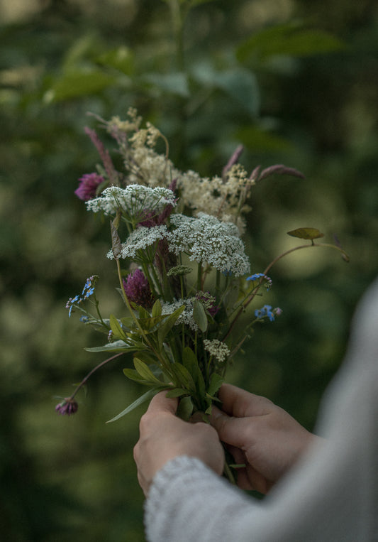Wholesale: Botanical Anthology: Summer 2025 Print Version (Retail)