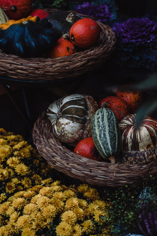 Wholesale:  Botanical Anthology: Autumn 2022 Print Version