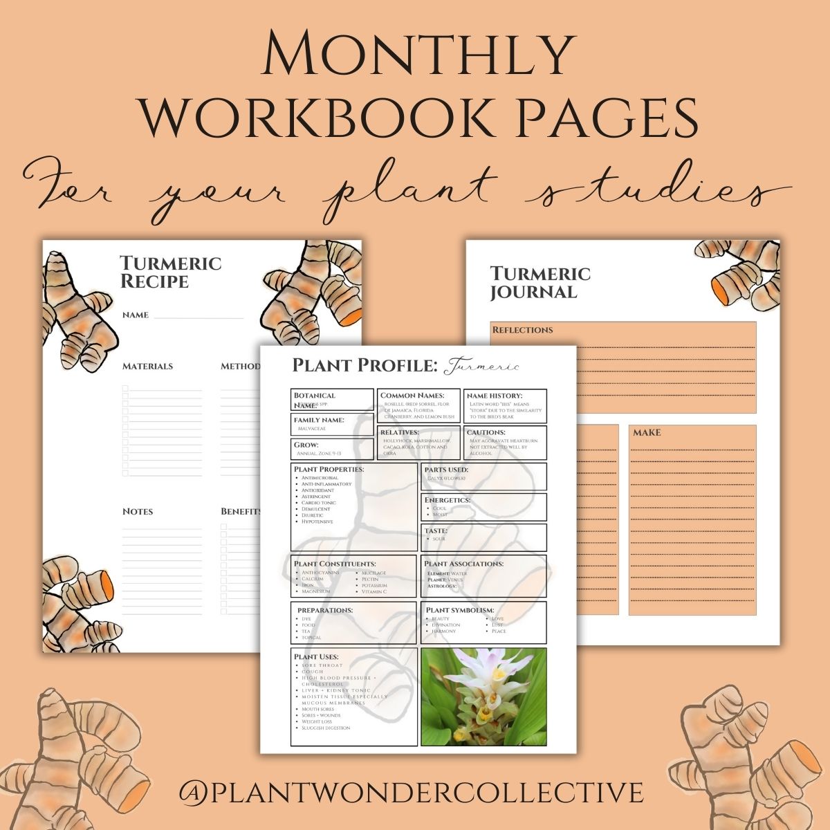 Turmeric Workbook Printables