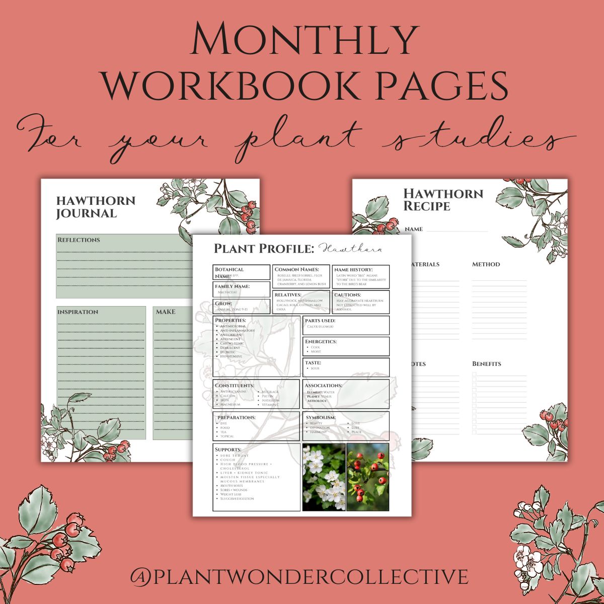 Hawthorn Workbook Printables