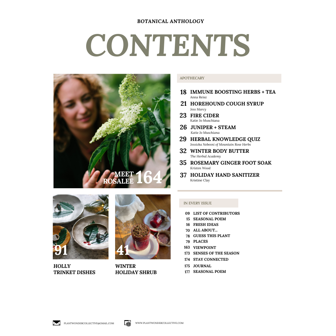 Botanical Anthology Winter Love Bundle: Vol 1 + Vol 2 + Vol 3 Editions (Digital)