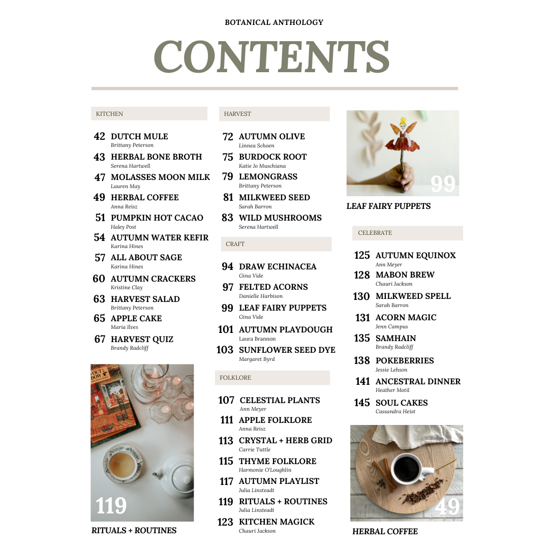 Botanical Anthology Autumn Love Bundle: Vol 1 + Vol 2 Editions (Digital)