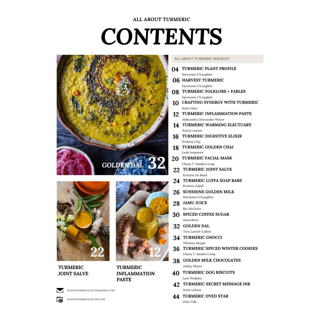 All About Turmeric Booklet (digital)
