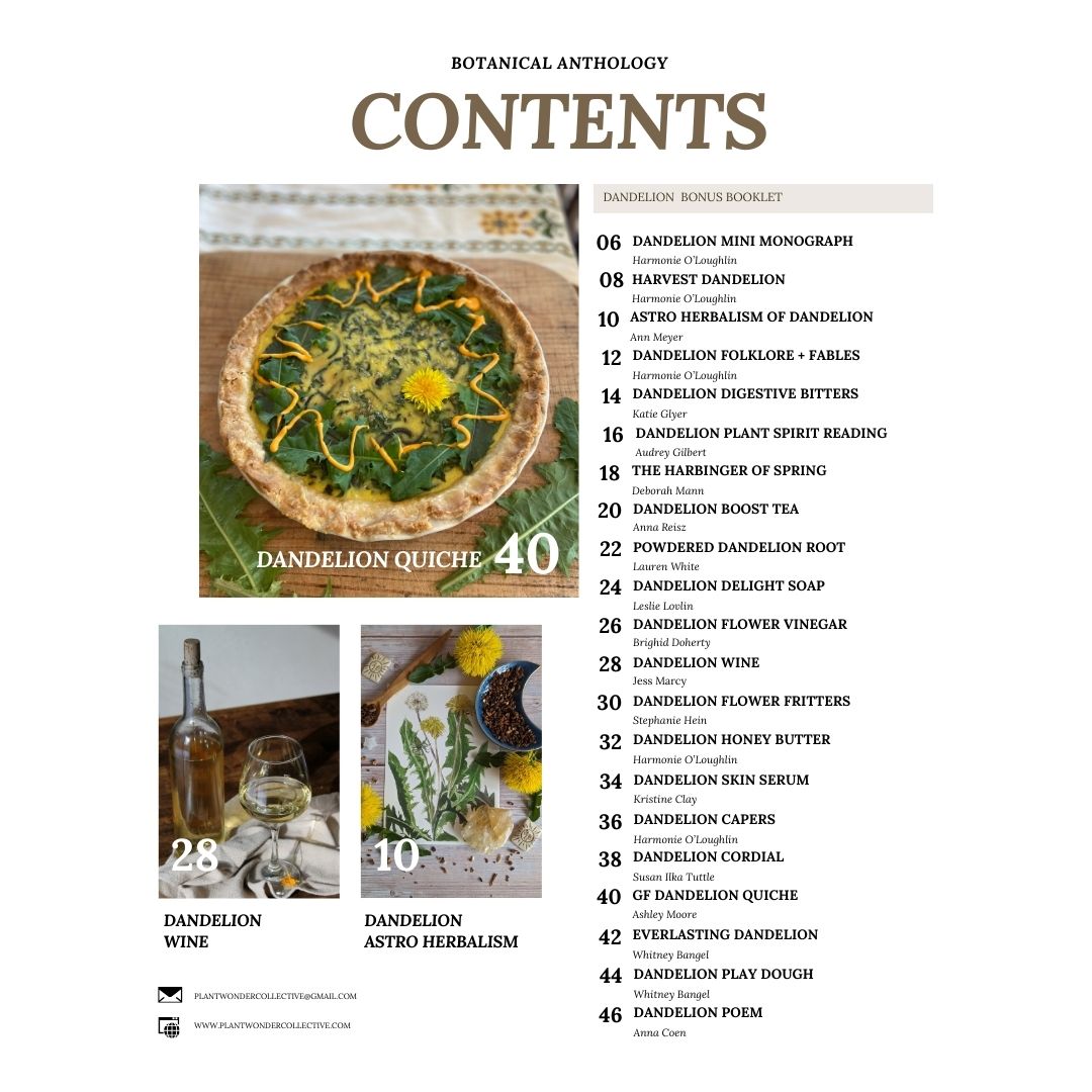All About Dandelion Booklet