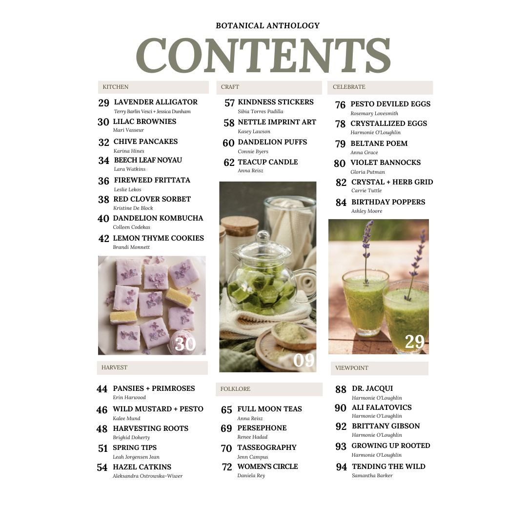 Botanical Anthology: 4 Seasons of Vol 3 (Print)