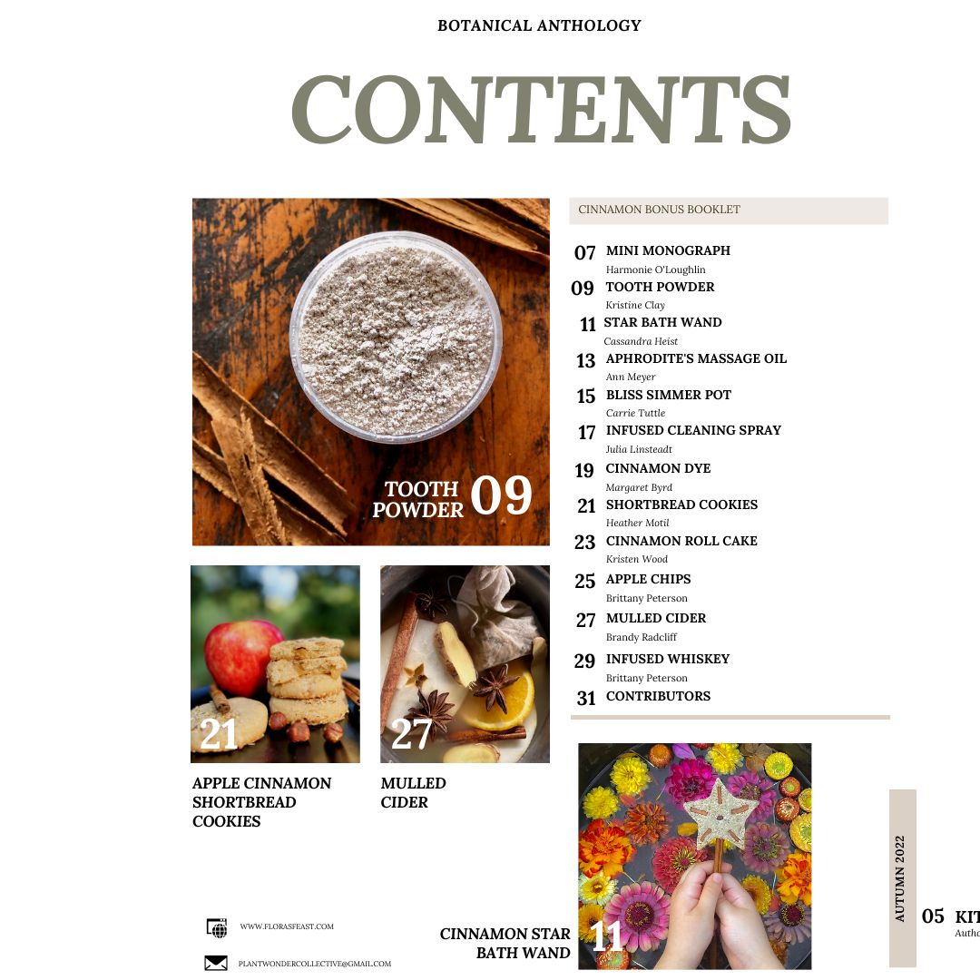 Winter Apothecary Bundle