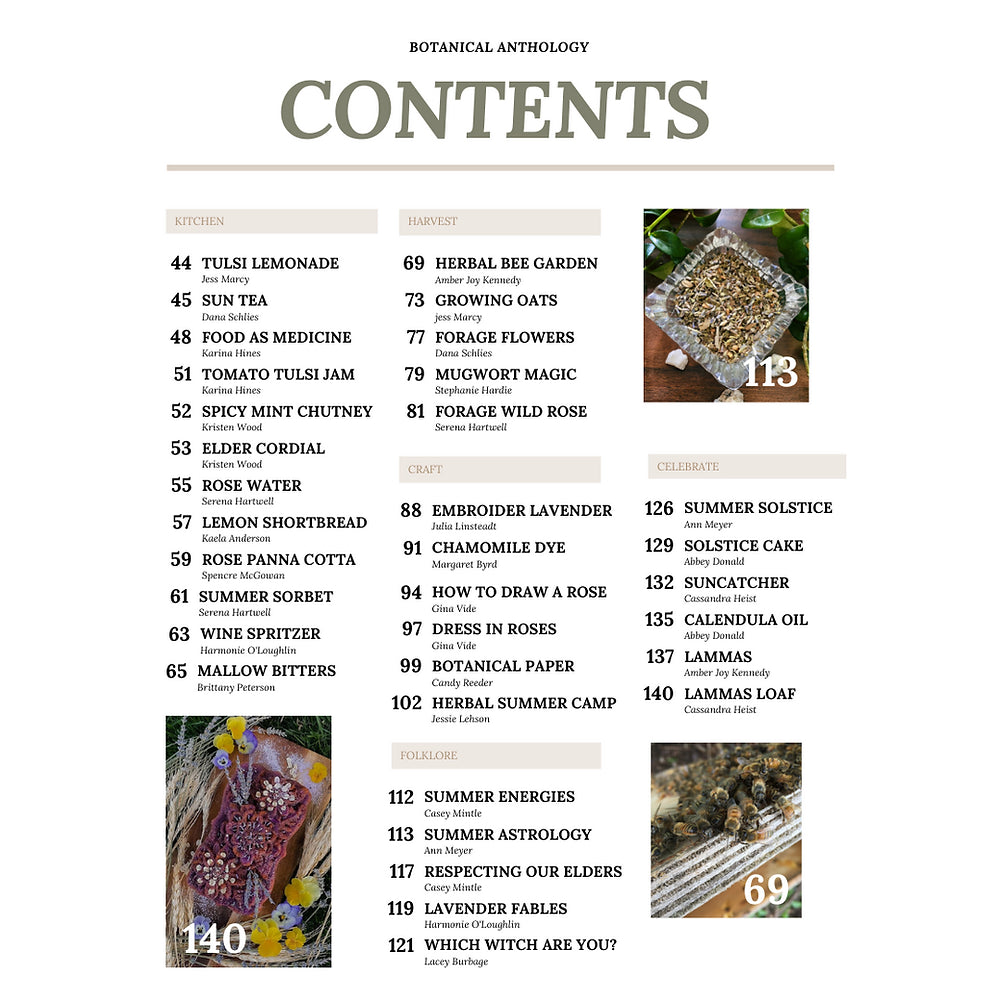 Botanical Anthology: Summer Vol 1 | Issue 1 | 2022 (Digital) + Info for Print Version