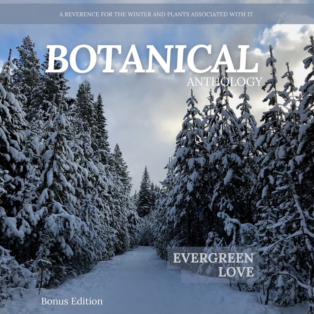 All About Evergreen Booklet