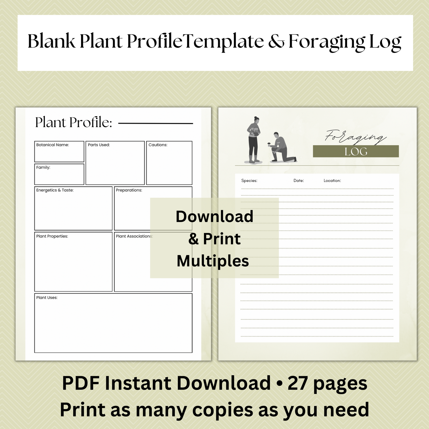Home Apothecary Planner by The Herbology Faerie