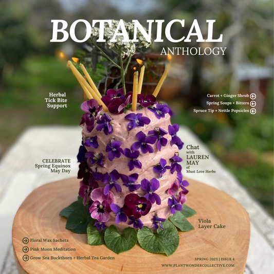 Botanical Anthology: Spring Vol 1 | Issue 4 | 2023 (Digital) + Info for Print Version