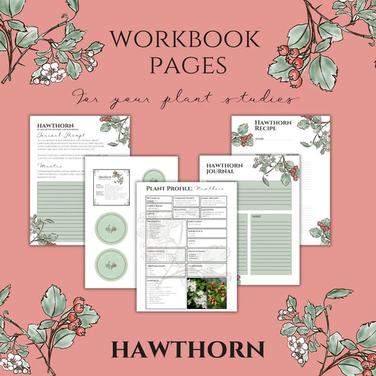 Hawthorn Workbook Printables