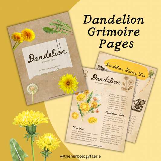 Dandelion Grimoire Pages by The Herbology Faerie