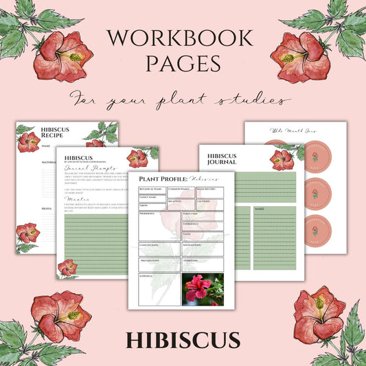 Hibiscus Workbook Printables