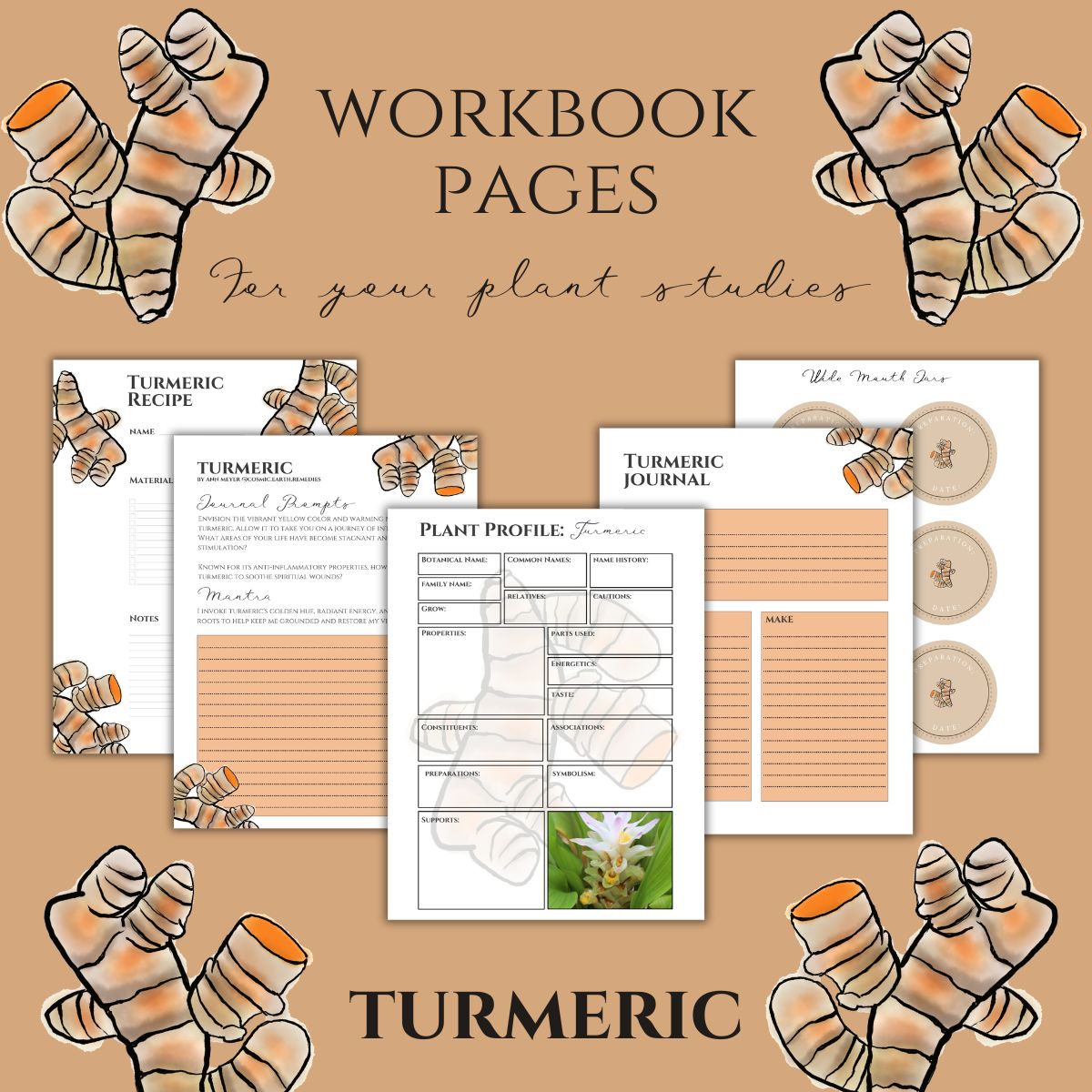 Turmeric Workbook Printables