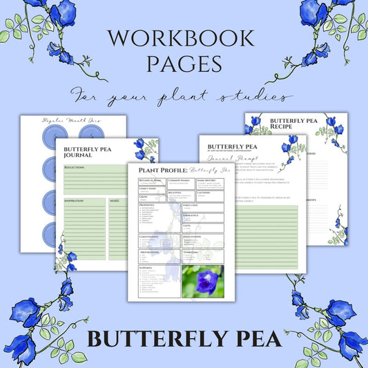 Butterfly Pea Workbook Printables
