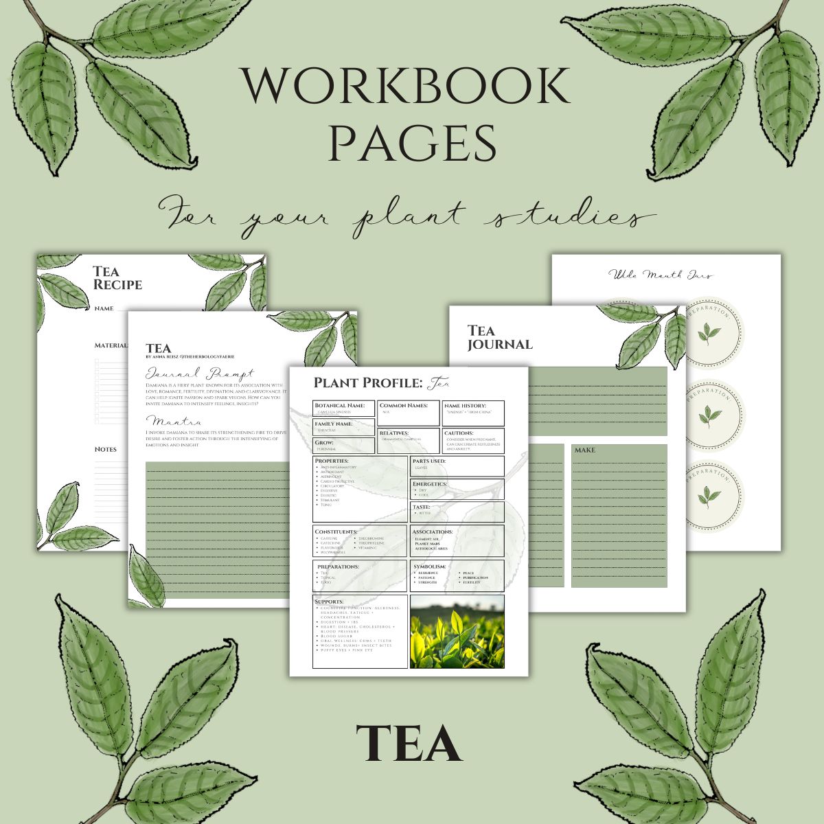 Tea Workbook Printables