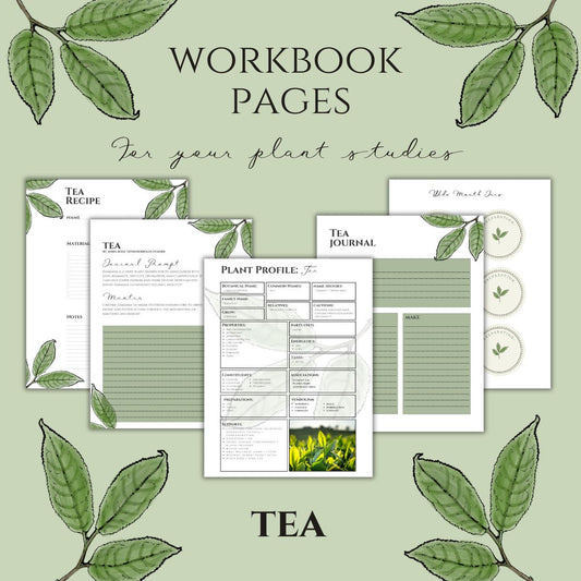 Tea Workbook Printables