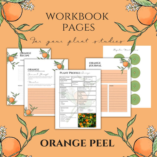 Orange Peel Workbook Printables