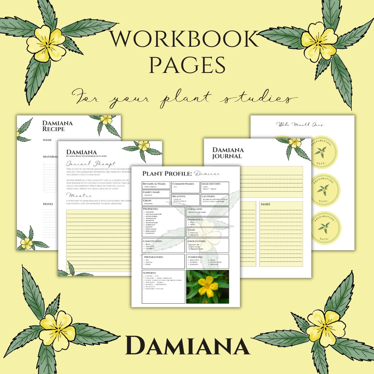 Damiana Workbook Printables