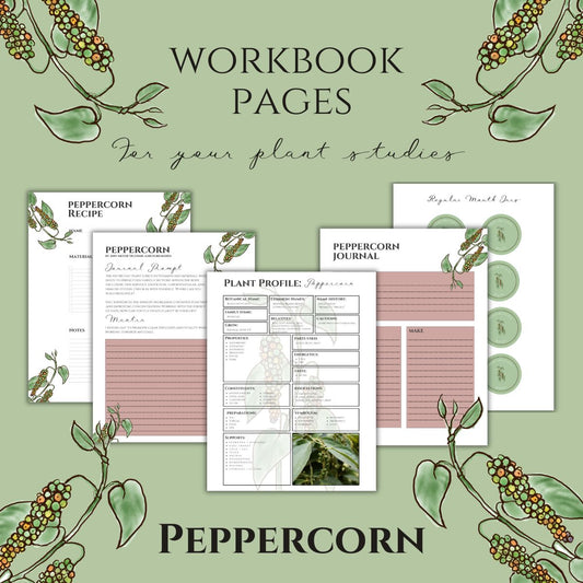 Peppercorn Workbook Printables