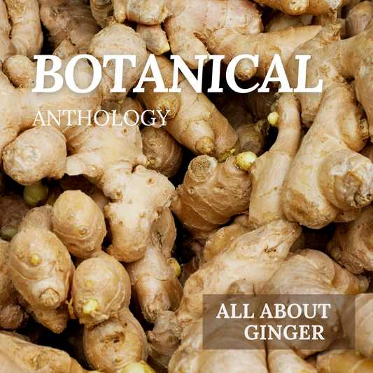 All About Ginger Booklet