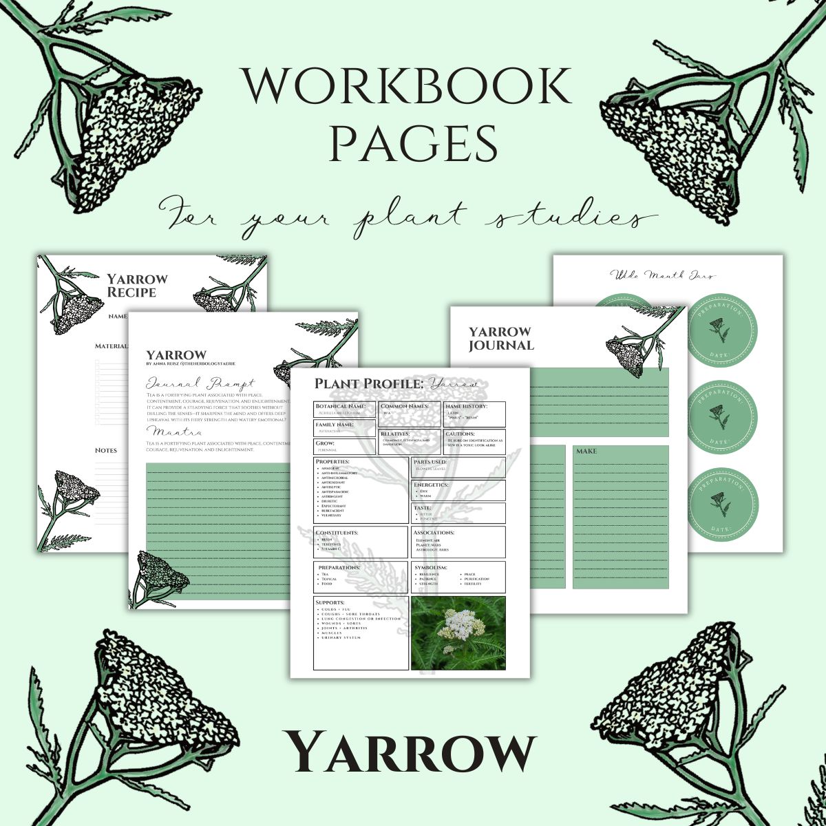 Yarrow Workbook Printables