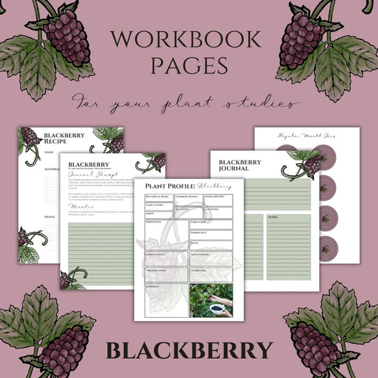 Blackberry Workbook Printables
