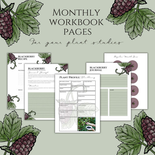 Blackberry Workbook Printables