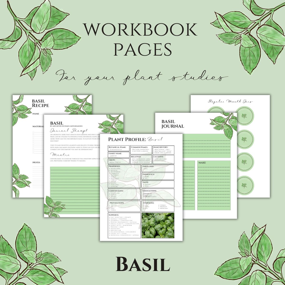Basil Workbook Printables