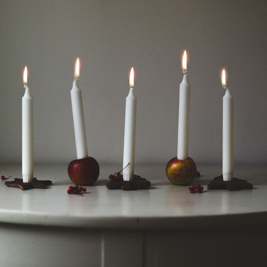 Botanical Anthology: Special Order