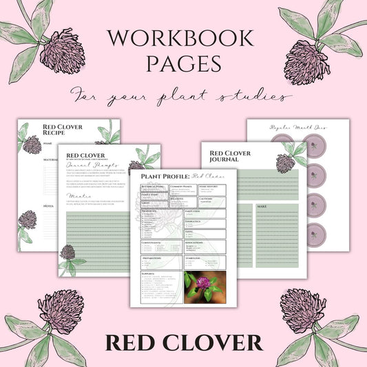 Red Clover Workbook Printables