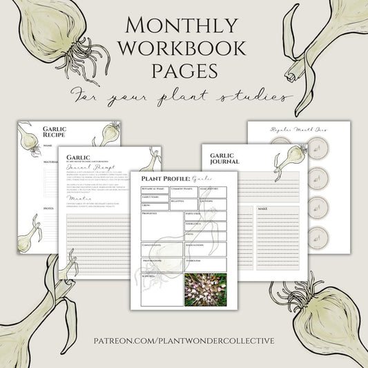 Garlic Workbook Printables