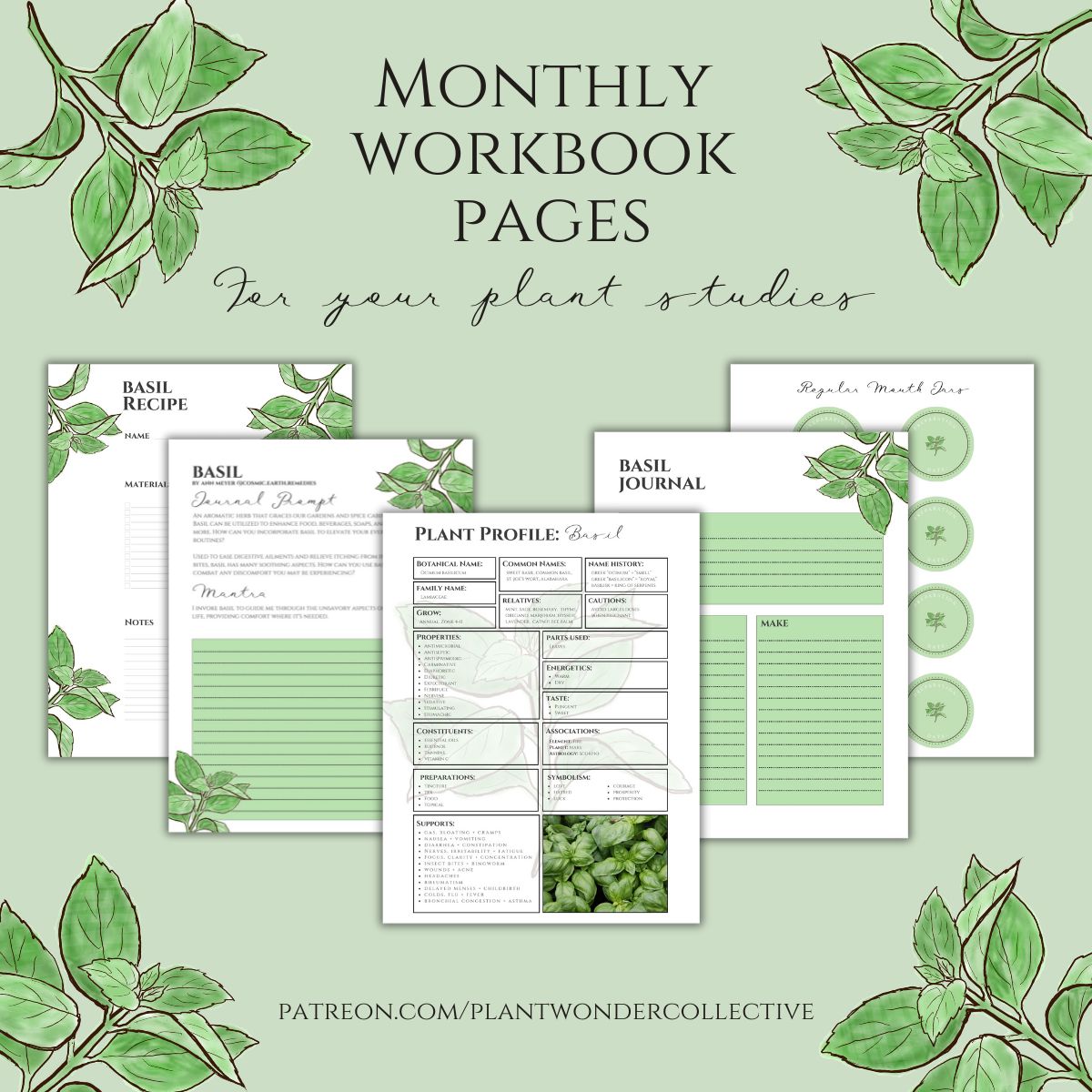 Basil Workbook Printables