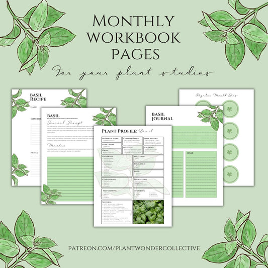 Basil Workbook Printables